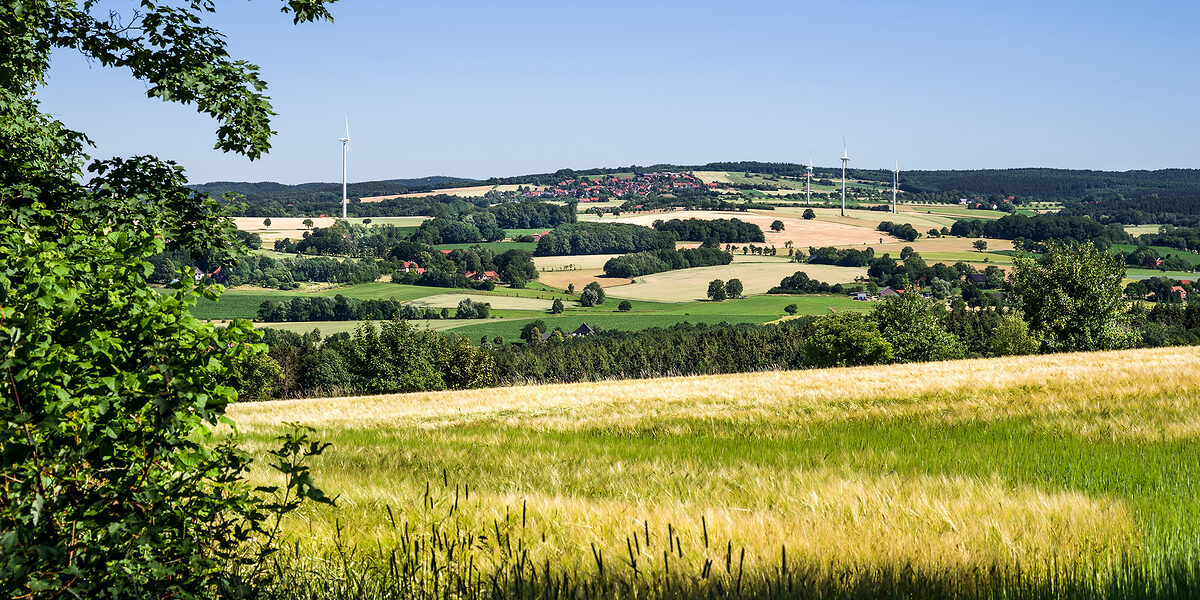 Ostwestfalen Lippe Weserbergland HAD Format Sommer
